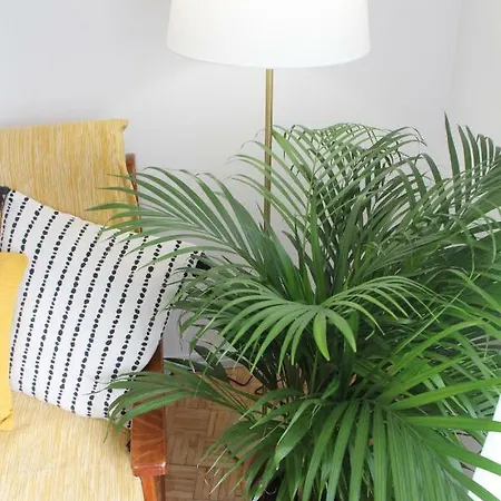 Maria Amelia | Free Indoor Parking Lisbon